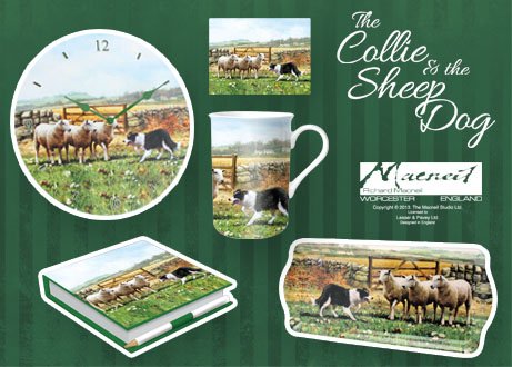 Collie & Sheepdog