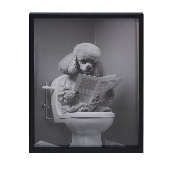 WALL ART- POODLE