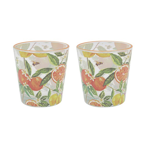 ORANGES & LEMONS GLASSES SET 2