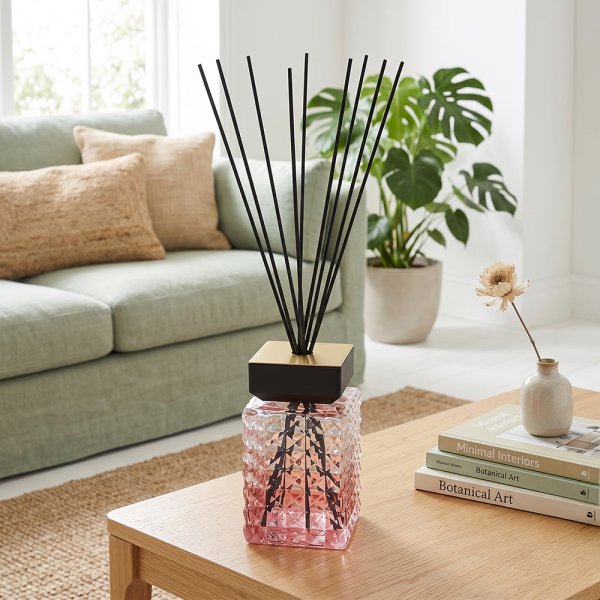 1L DIFFUSER ROUGE