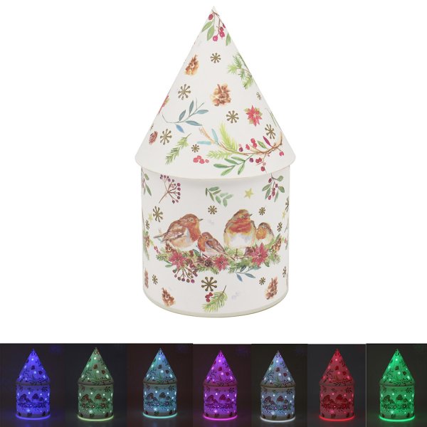 WINTER ROBINS LED HOUSE