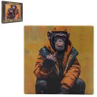MONKEY LIFE COASTER