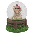 HIGHLAND COW TARTCAP WATERGLOB