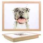 STAFFIE LAPTRAY