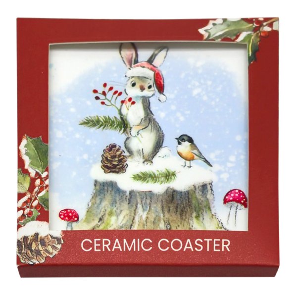 BUNNY & ROBIN COASTER