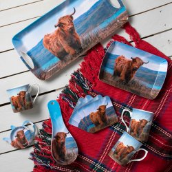 Highland Cow + more on Social Media