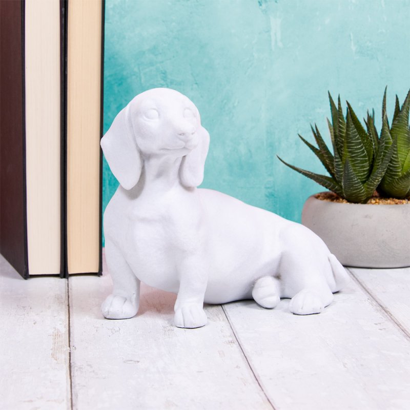 Daschund white top