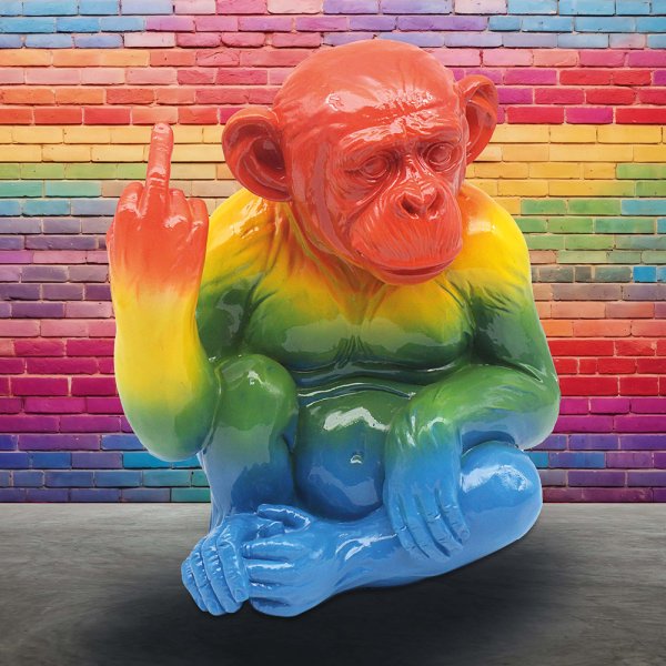 RAINBOW MONKEY 28CM