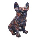 SUPERNOVA FRENCH BULLDOG