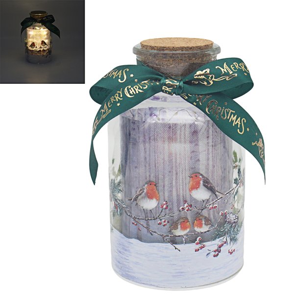 CHRISTMAS ROBINS LED BOTTLE