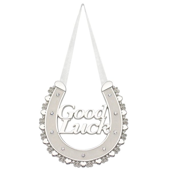 S/P GOOD LUCK HORSE SHOE