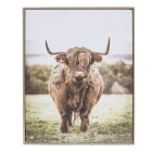 HIGHLAND COW WALL ART