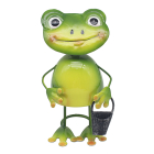 BRIGHT EYES FROG