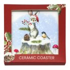 BUNNY & ROBIN COASTER