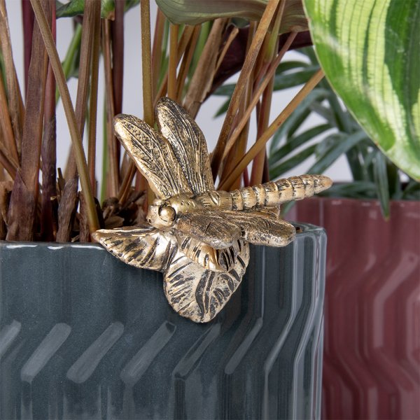 PLANT POT PALS DRAGONFLY