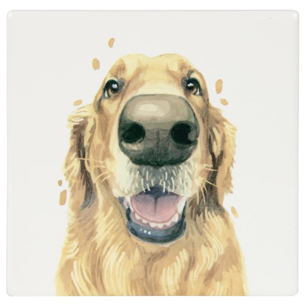 GOLDEN RETREIVER COASTER