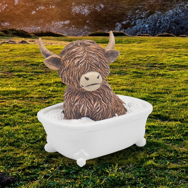 HIGHLAND COW SOAKING
