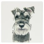 SCHNAUZER COASTER