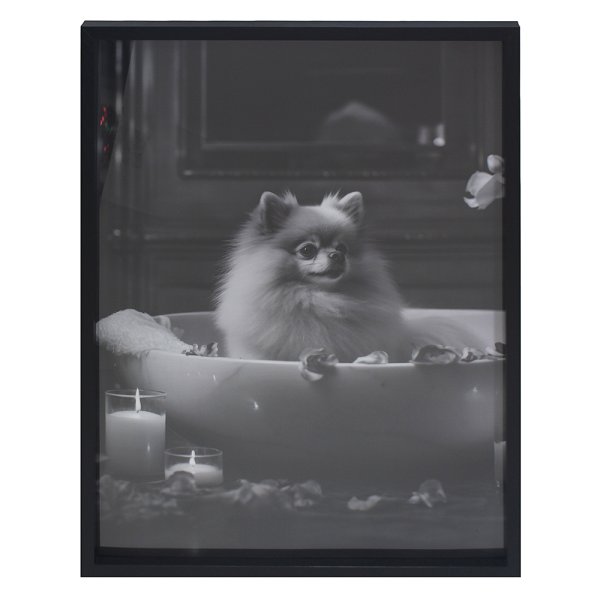 WALL ART- POMERANIAN