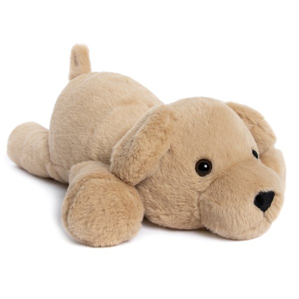 RPET PALS MUTTLEY LAYING DOG