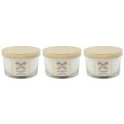 BLACKBERRY & BAY CANDLE SET 3
