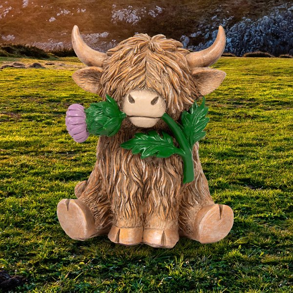 HIGHLAND COW WITH THISTLE