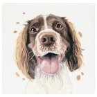 SPRINGER SPANIEL COASTER