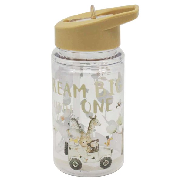 DREAM BIG DRINKS BOTTLE