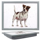 JACK RUSSELL LAPTRAY