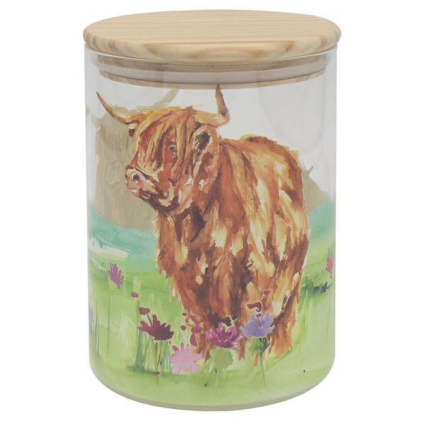 HIGHLAND COW CANISTER MED