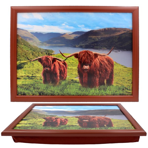 HIGHLAND COW LAPTRAY