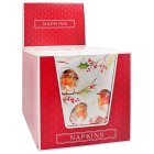 WINTER ROBINS PAPER NAPKINS