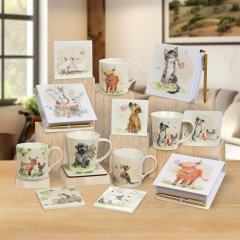 New Ranges in February 2025