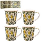 FRUITS MUG SET 4