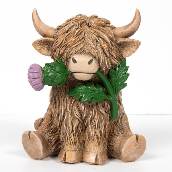 HIGHLAND COW WITH THISTLE