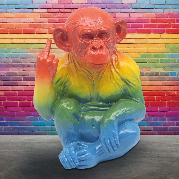 RAINBOW MONKEY 22CM