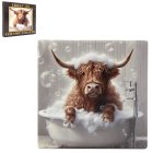 HIGHLAND COW BUBBLE BATH COAST