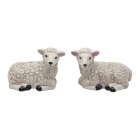 SHEEP SALT & PEPPER SET