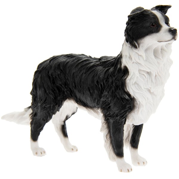 BORDER COLLIE
