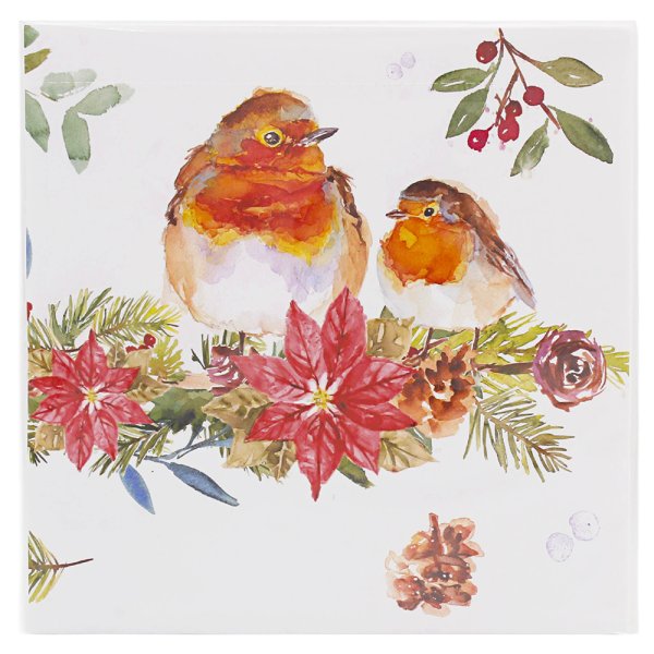 WINTER ROBINS PAPER NAPKINS