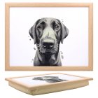 BLACK LABRADOR LAPTRAY