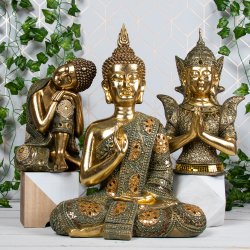 Exotic Arts on Social Media