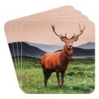 STAG COASTERS SET OF 4