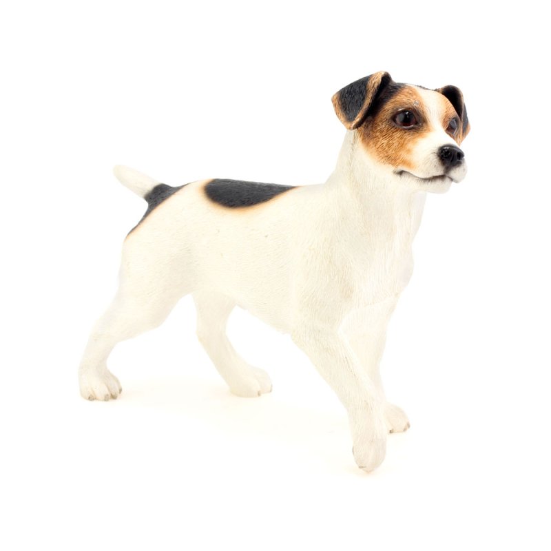 JACK RUSSELL TERRIER