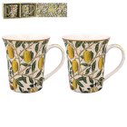 FRUITS MUG SET 2