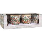 STRAWBERRY THIEF MUG&COAST SET