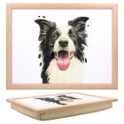 COLLIE LAPTRAY