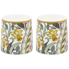 DAFFODIL EGG CUPS