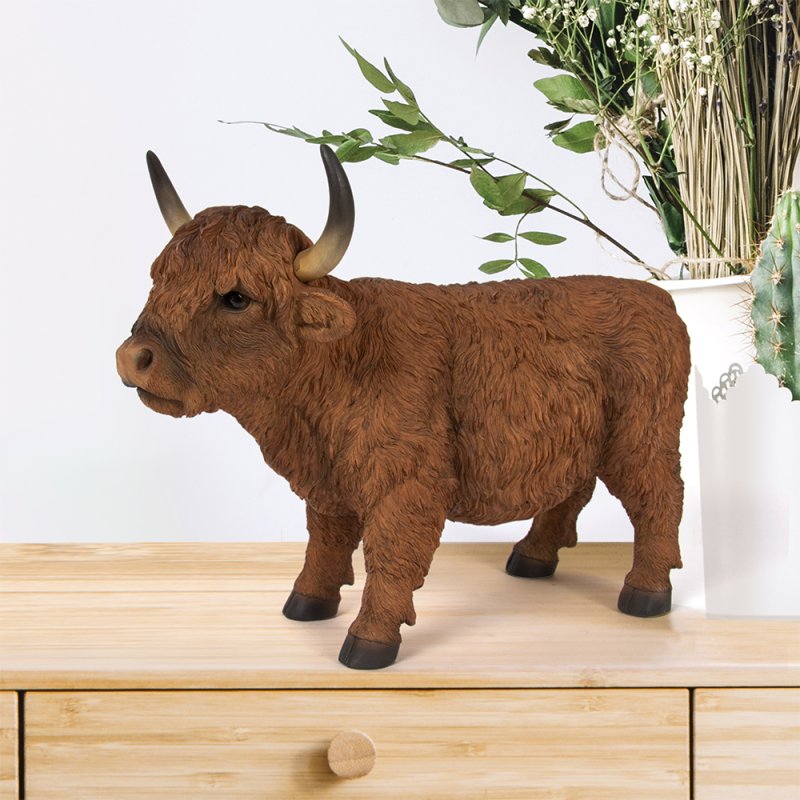 Highland Cow Longevity A Complete Guide - 96dqkt2