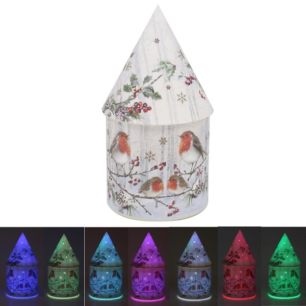 CHRISTMAS ROBINS LED HOUSE